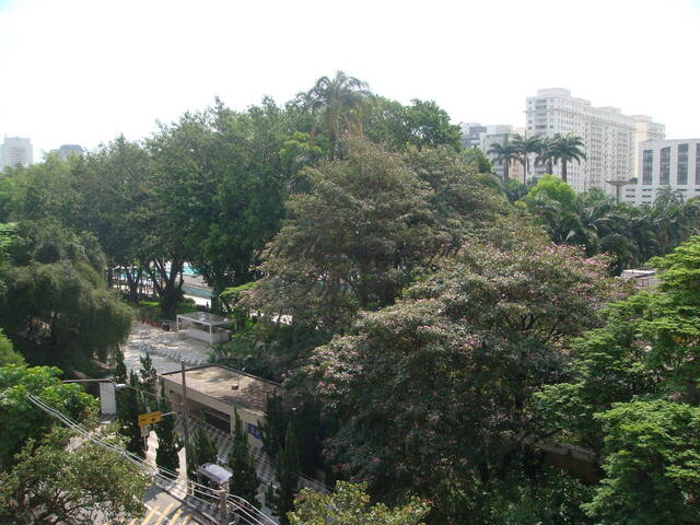 Locação em Jardim Europa - São Paulo